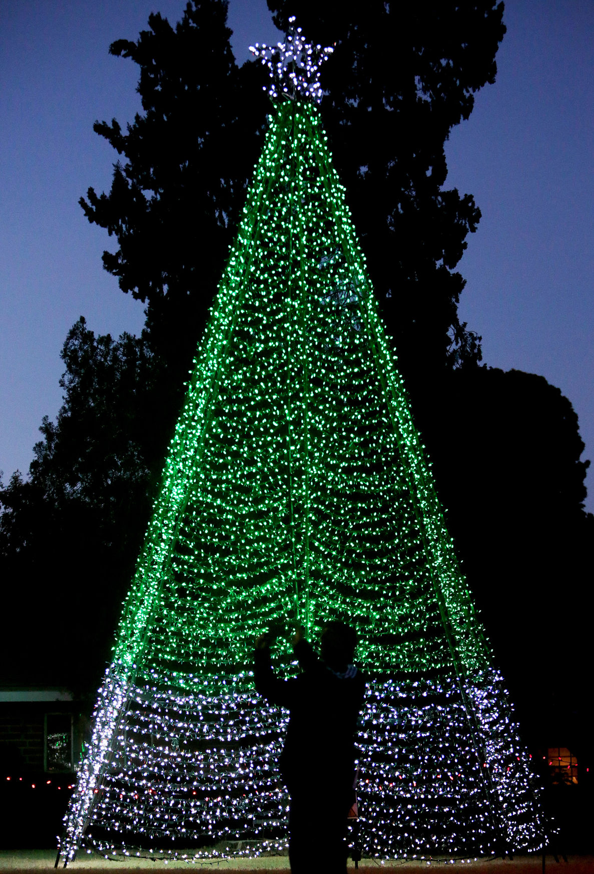 2016 Winterhaven Festival of Lights